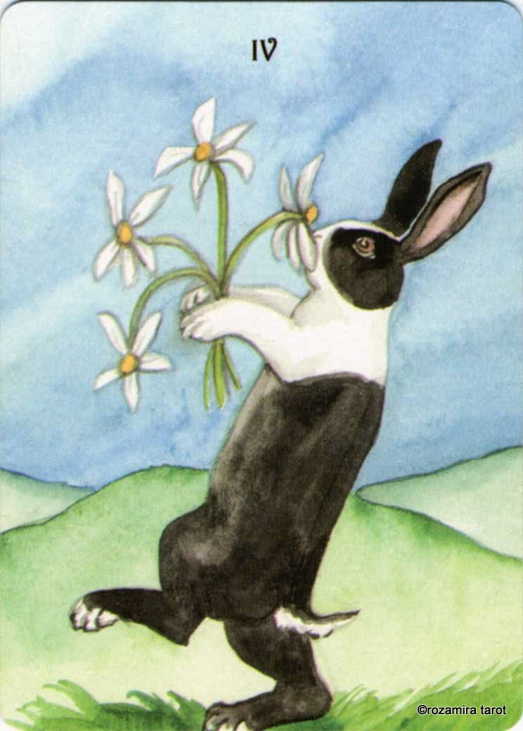 Rabbit Tarot